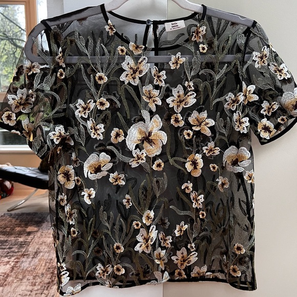 Aritzia Little Moon mesh ebroidered top - Picture 2 of 6